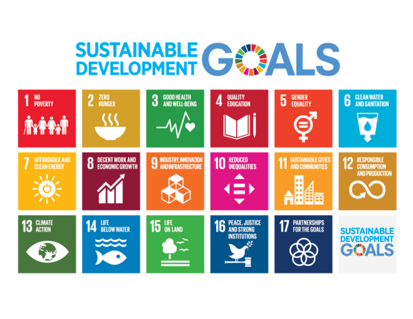 Sustainable Development Goals Poster