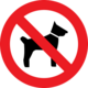 Mitnahme von Tieren in Fahrzeugen ist verboten!