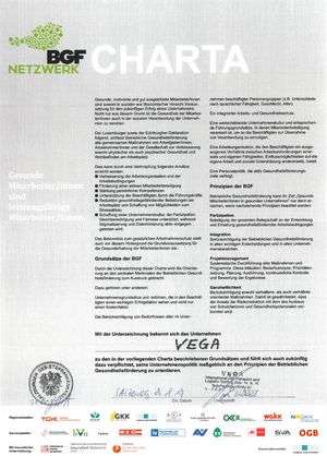 Charta betriebliche Gesundheitsförderung der Salzburger Gebietskrankenkasse